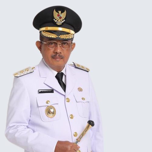 Ir. H. Armuji, M.H.